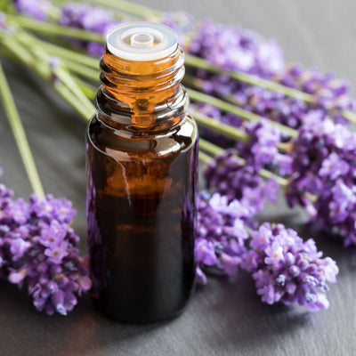 Origins and Benefits of Lavender Essential Oil