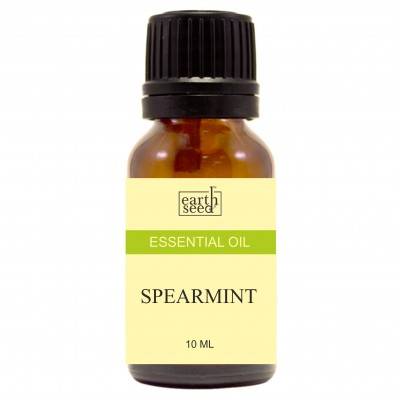 Spearmint Essential Oil - 10 ml - blackprint.com